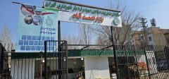 افزایش شمارمیادین میوه و تره‌بار در جنوب غربی تهران