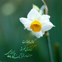 استوری_کلیپ | انتظار فرج، برترین اعمال