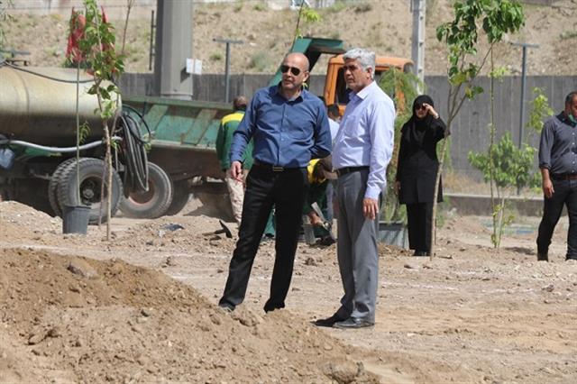 پروژه “بوستان بانوان” توسط شهرداری پردیس