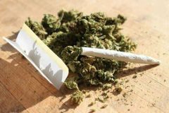  «گل» به شدت اعتیادآور است