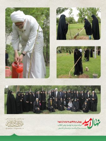 در بوستان آزادگان